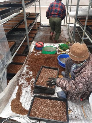 나무도깨비농원님의 하우스정보 · 시공사례•후기 작성글 사진
