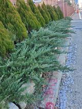 팜모닝 농사, 무엇이든 물어보세요!·참여글 게시글 이미지