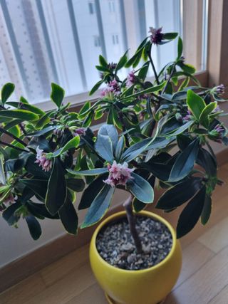 이상응님의 기타작물 · 자유게시판 작성글 사진