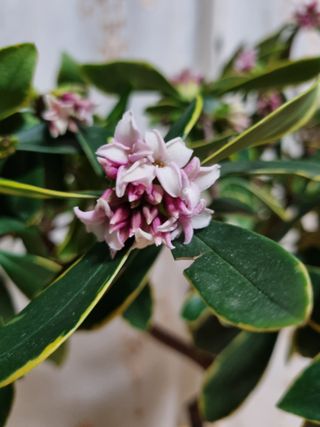 이상응님의 기타작물 · 자유게시판 작성글 사진