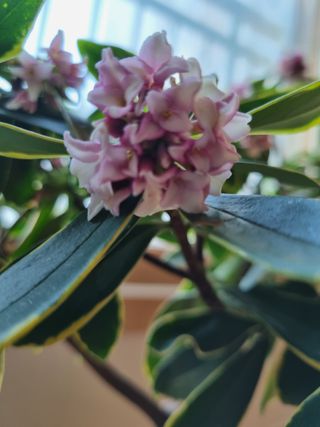 이상응님의 기타작물 · 자유게시판 작성글 사진