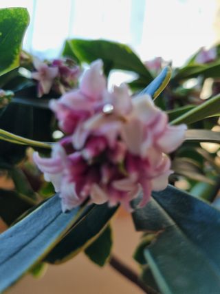 이상응님의 기타작물 · 자유게시판 작성글 사진