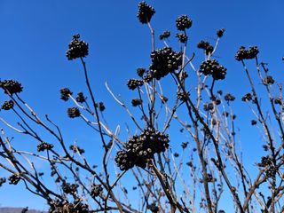 춘천바람개비님의 작성글 사진