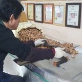 팜모닝 기타작물·자유게시판 게시글 이미지