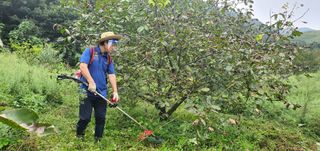 이명기님의 기타작물 · 자유게시판 작성글 사진