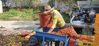 이명기님의 기타작물 · 자유게시판 작성글 사진