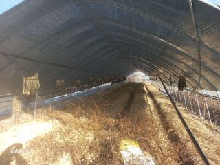 자기왕사랑해님의 자유주제 · 자유게시판 작성글 사진