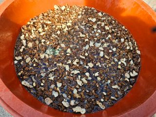 흑도라지흑청 정현숙님의 기타작물 · 영농일지 작성글 사진