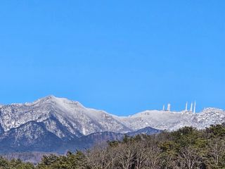 흑도라지흑청 정현숙님의 기타작물 · 영농일지 작성글 사진