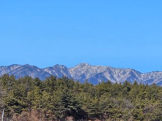 흑도라지흑청 정현숙님의 기타작물 · 영농일지 작성글 사진