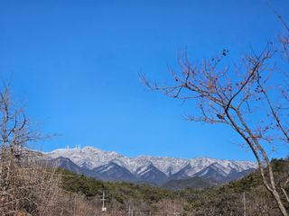 흑도라지흑청 정현숙님의 기타작물 · 영농일지 작성글 사진