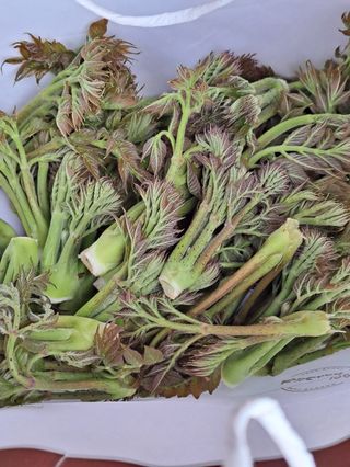 대청농장님의 그동안 생산한 농작물은? · 참여글 작성글 사진