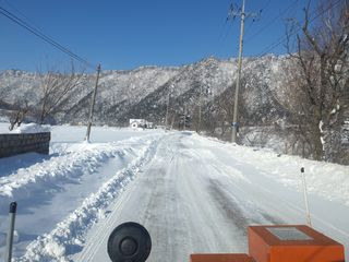 변호연님의 두릅 · 영농일지 작성글 사진