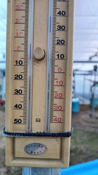 알 수 없음님의 포도 · 자유게시판 작성글 사진