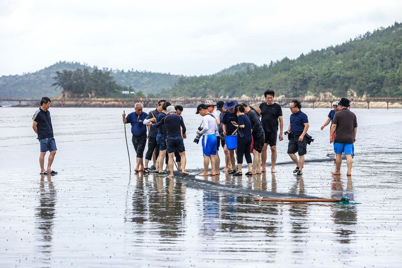 딴따라농부님의 장터 판매 상품 [☆10년된 청정해 ☆신안천일염☆   건강식에 쓰세요 자연조미료 맛이나요] 첨부 사진