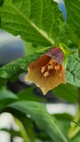 팜모닝 자유주제·자유게시판 게시글 이미지