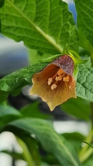 푸른꿈님의 자유주제 · 자유게시판 작성글 사진