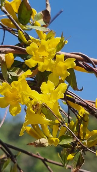 푸른꿈님의 자유주제 · 자유게시판 작성글 사진