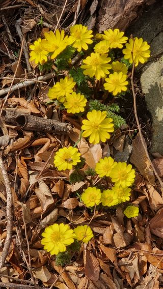 푸른꿈님의 자유주제 · 자유게시판 작성글 사진
