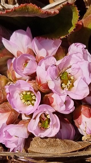 푸른꿈님의 자유주제 · 자유게시판 작성글 사진