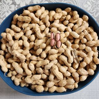 김은경님의 자유주제 · 자유게시판 작성글 사진