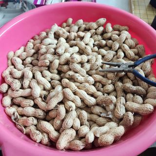 김은경님의 자유주제 · 자유게시판 작성글 사진