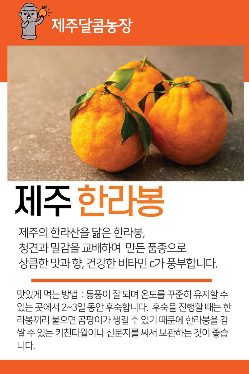 고권봉님의 장터 판매 상품 [한라봉 5키로] 첨부 사진