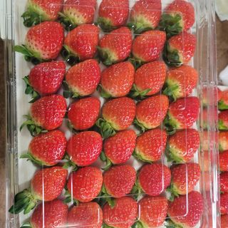 강미향님의 작성글 사진