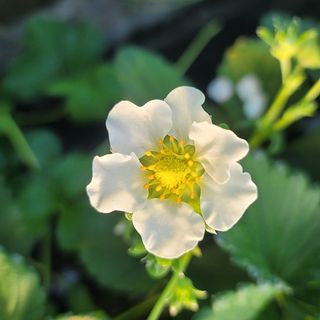 강미향님의 작성글 사진