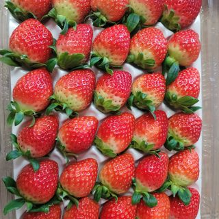 강미향님의 작성글 사진