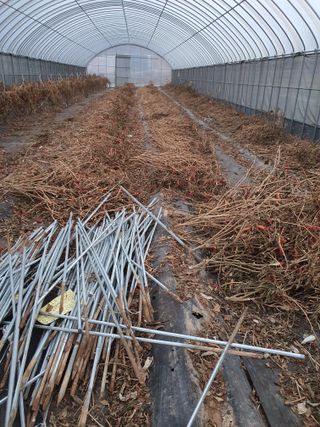 엘림농장님의 고추 · 토양준비 작성글 사진