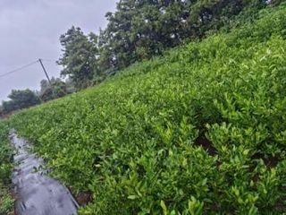 송응준님의 작성글 사진