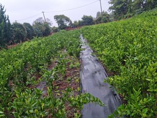 송응준님의 작성글 사진