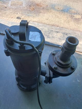 꿈속의농원님의 작성글 사진