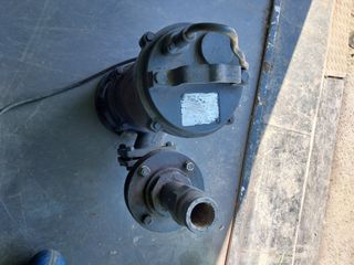 꿈속의농원님의 작성글 사진