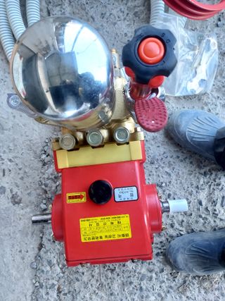 만당사님의 작성글 사진