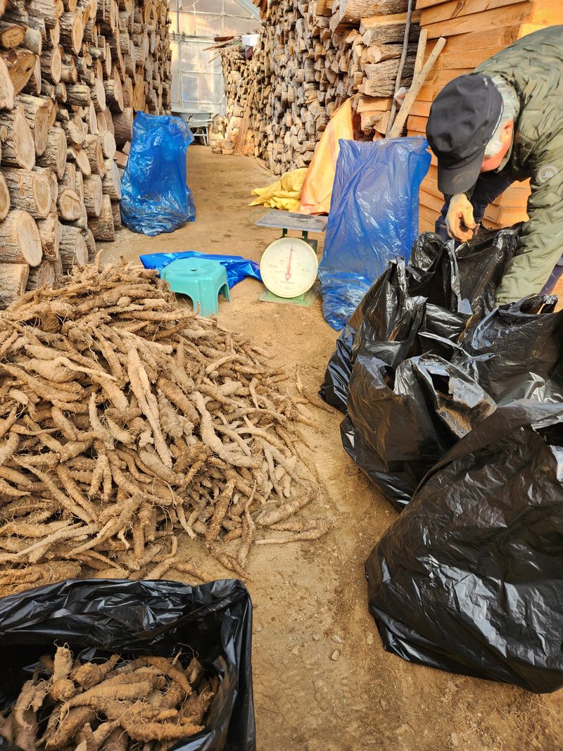 윤미선(농경채인증님의 장터 판매 상품 [더덕 4키로 ] 첨부 사진