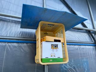 그린애농장님의 토마토 · 영농일지 작성글 사진