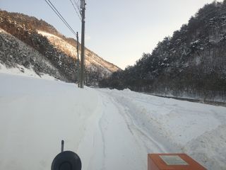 변호연님의 두릅 · 영농일지 작성글 사진