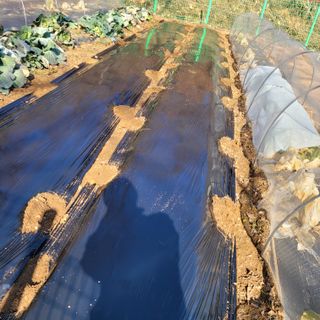 이창화님의 기타작물 · 자유게시판 작성글 사진