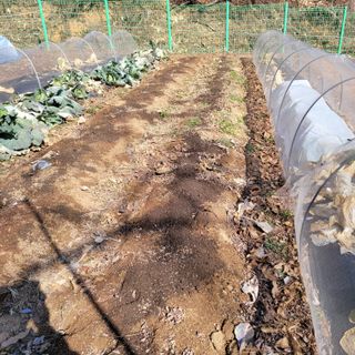 이창화님의 기타작물 · 자유게시판 작성글 사진