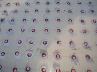 마정숙님의 고추 · 품종•종자 작성글 사진