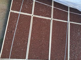 마정숙님의 고추 · 품종•종자 작성글 사진