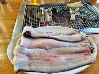 들꽃농장님의 자유주제 · 자유게시판 작성글 사진