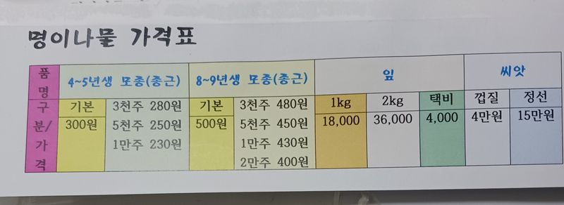 황덕순 님의 장터 판매 상품 [명이나물 봄모종 판매 ] 첨부 사진