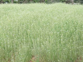 김명복님의 그동안 생산한 농작물은? · 참여글 작성글 사진