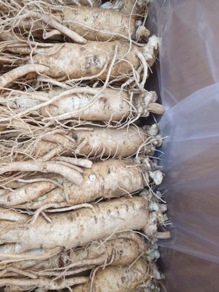 문제민님의 그동안 생산한 농작물은? · 참여글 작성글 사진