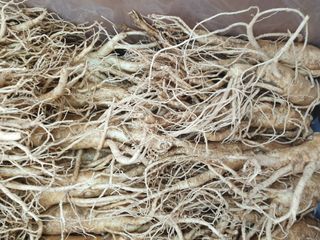 문제민님의 그동안 생산한 농작물은? · 참여글 작성글 사진