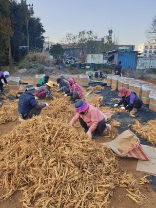 문제민님의 그동안 생산한 농작물은? · 참여글 작성글 사진