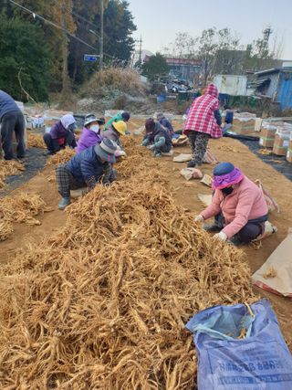 문제민님의 그동안 생산한 농작물은? · 참여글 작성글 사진